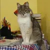 Отзыв от Ева Костина